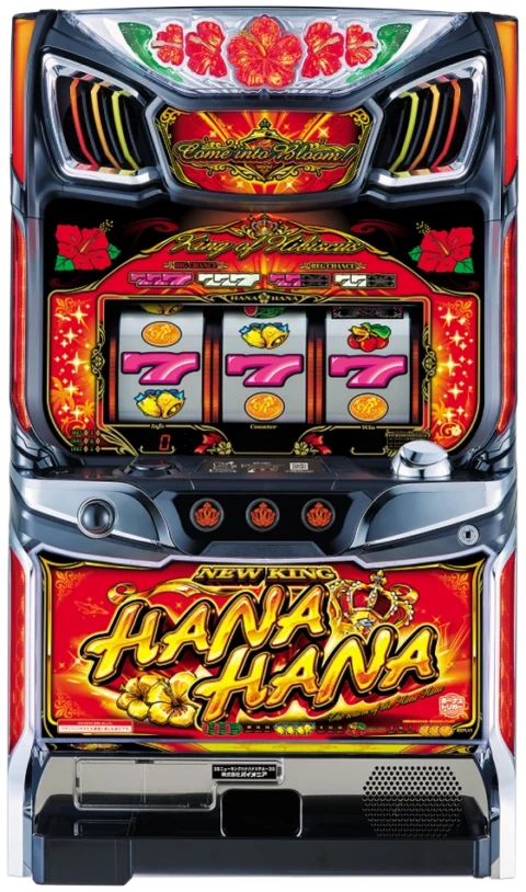 ニューキングハナハナV-30 newking-hanahana-v30-top