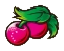 チェリー